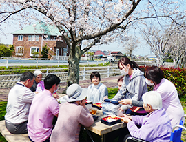 近くの公園でお花見